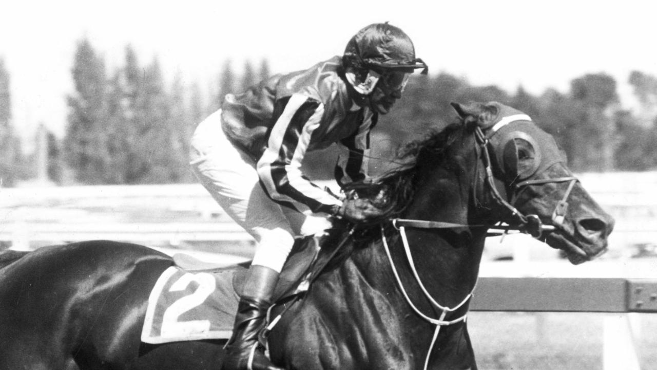 March 04, 1978. Jockey Darby McCarthy rides Hyperno in the TS.  Carlyon Cup at Caulfield.  - sport horse action