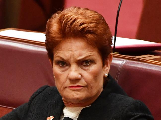 One Nation leader Senator Pauline Hanson during an amendment to part 18c of the Racial Discrimination Act in the Senate chamber at Parliament House in Canberra, Thursday, March 23, 2017. (AAP Image/Mick Tsikas) NO ARCHIVING