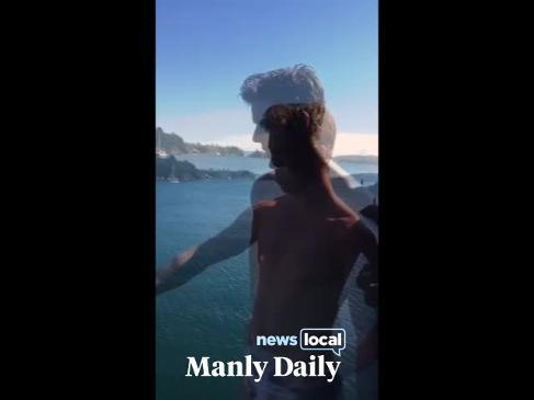 A pair of men at little Manly describe seeing a great white shark