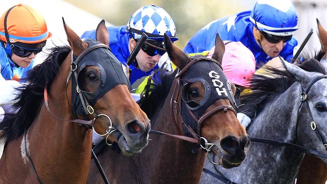 Major Major (centre) will be chasing back to back wins on Wednesday at Warwick Farm. Picture: Jenny Evans