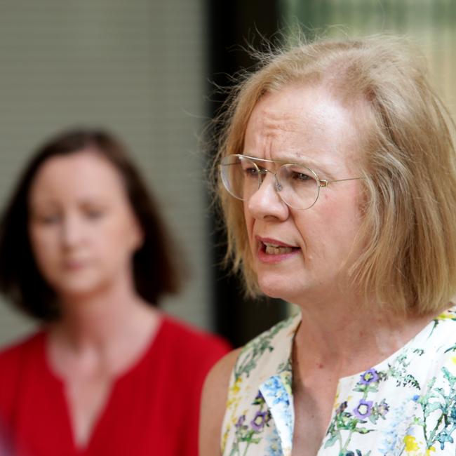 Chief Health Officer Jeannette Young speaks as Health Minister Yvette D'Ath looks on. Picture: Steve Pohlner