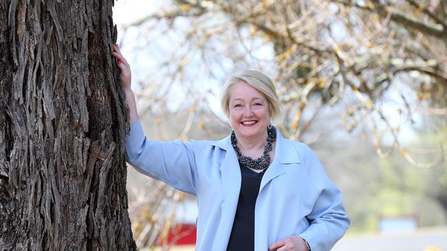 Shadow Treasurer Louise Staley. Picture: Andy Rogers