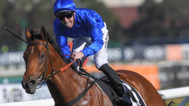 Bivouac is among Godolphin’s star-studded autumn line-up. Picture: AAP