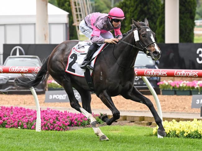 Wishlor Lass ridden by Damian Lane wins the Powerflo Solutions Tesio Stakes at Moonee Valley Racecourse on October 28, 2023 in Moonee Ponds, Australia. (Photo by Reg Ryan/Racing Photos via Getty Images)