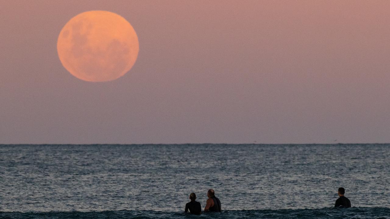 Surfers wait for a wave as a super blood moon rises above the horizon at Manly Beach. Picture: Getty