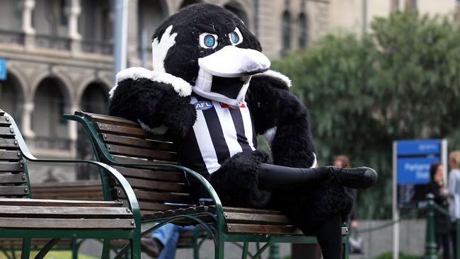 Collingwood Magpies have always been known as the Magpies.