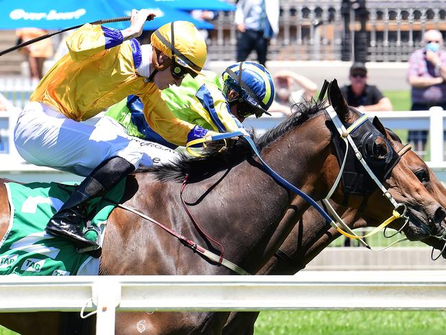 Kyle Wilson-Taylor (inside) on Vendidit and Jim Byrne (outside) on Ciccina go to the line together to dead heat at Eagle Farm before launching protests against each other. Picture: Grant Peters - Trackside Photography