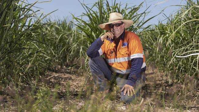 Cane farmer Justin Vella found a suspect knife in his fields. Picture: Damien Carty