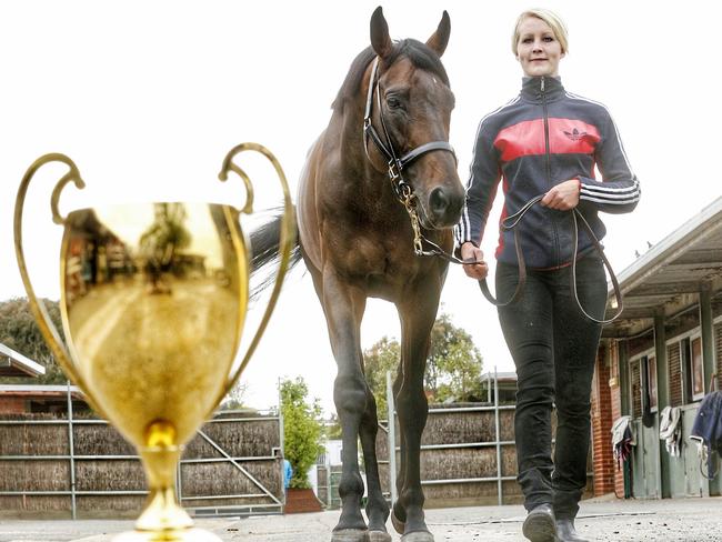 What’s that I see: Caulfield Cup winner Mongolian Khan spots the winning trophy as he walks at his Flemington stables with strapper Sophia Orting. Picture: Colleen Petch