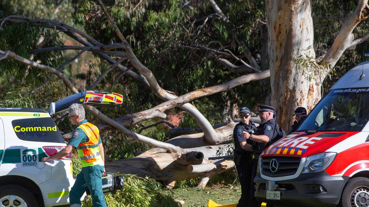 The tree branch weighed up to 10 tonnes. Picture: Brett Hartwig