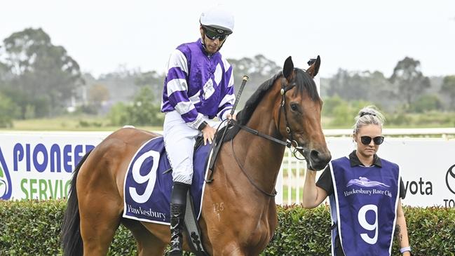 Aroha Stone can make it consecutive wins when she steps out on her home track. Picture: Bradley Photos