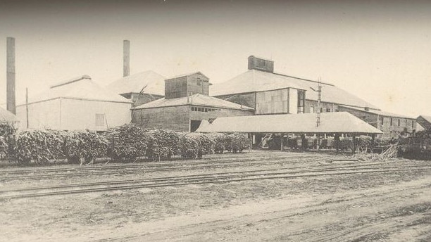 Bingera Sugar House, 1897. Part of the Bingera Plantation, an token of Bundaberg’s agricultural achievements in sugar production. Source: Queensland Agricultural Journal, Fryer Library, University of Queensland