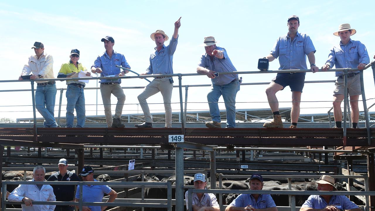 Northern buyers swoop on weaners