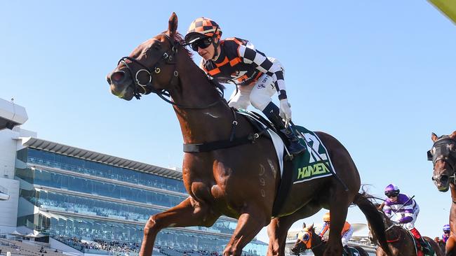 Southport Tycoon is one of the top chances in the Group 1 All Aged Stakes at Randwick. Picture: Reg Ryan/Racing Photos via Getty Images