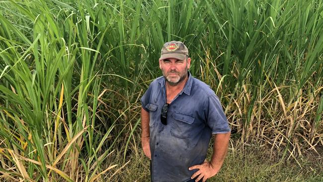 Eagleby farmer Mick Herse said cane crops are planned for three years in advance. 