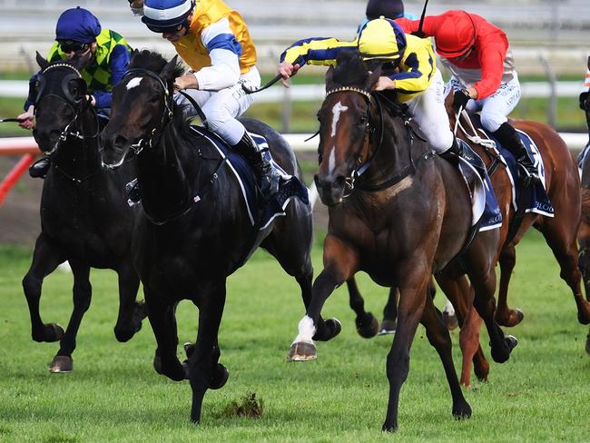 Molly Bloom, ridden by Blake Shinn, wins the Group 2 Hallmark Stud Eight Carat Classic at Pukekohe on Boxing Day 2023. Picture: Kenton Wright/Race Images