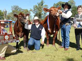 Stephen Duff, Jamie Hollis, Champion of Champions GK Arabella F11, Gavin Iseppi, Elizabeth Green the trophy donor pose for a photo at the Gympie Show yesterday. Picture: Craig Warhurst