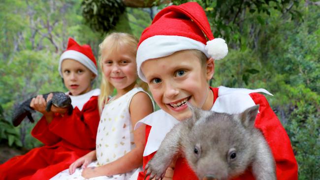 Levi, Aria and Tate Staples get into the Christmas spirit on December 13, 2018. Picture: Angelo Velardo