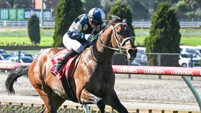 Daggers ridden by Luke Currie wins the Brooks Running AU Plate at Moonee Valley Racecourse on August 24, 2024 in Moonee Ponds, Australia. (Photo by Reg Ryan/Racing Photos via Getty Images)