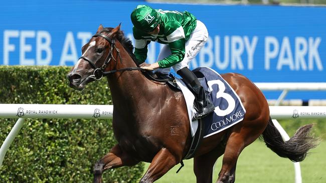 Shaggy maintained his perfect record with an all-the-way win in the Pierro Plate at Randwick. Picture: Getty Images