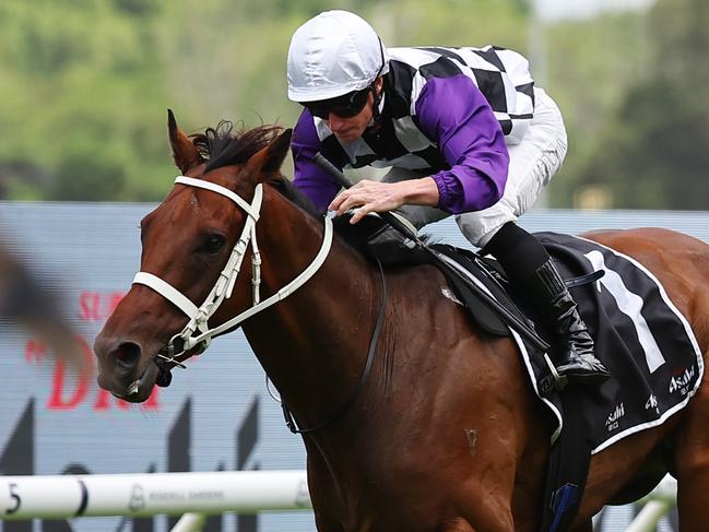SYDNEY, AUSTRALIA - JANUARY 18: James McDonald riding Osipenko win Race 7 Asahi Super Dry January Cup during Sydney Racing at Rosehill Gardens Racecourse on January 18, 2025 in Sydney, Australia. (Photo by Jeremy Ng/Getty Images)