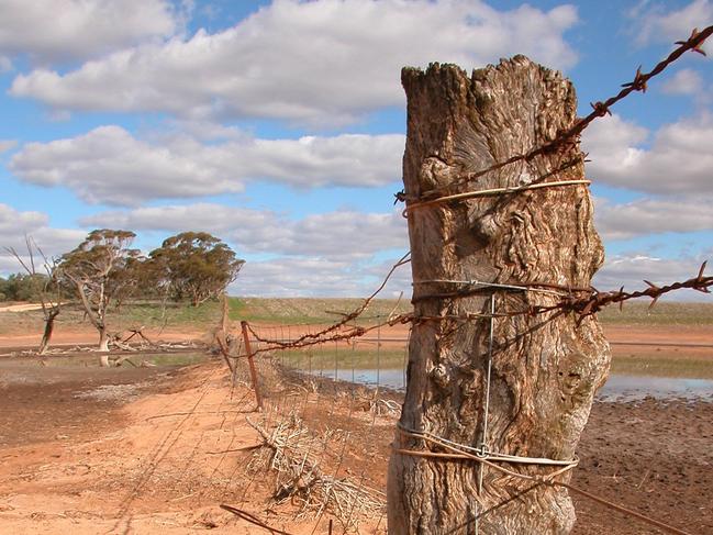 Dry Farm dams.