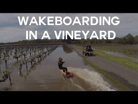 AUSTRALIA:    Drone Shows Wakeboarder Gliding Across Flooded Vineyard   October 01