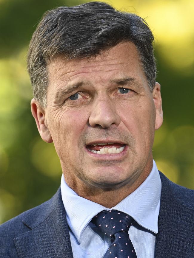 Shadow Treasurer Angus Taylor. Picture: NCA NewsWire/Martin Ollman