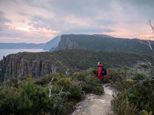 A walker on the Three Capes Track on the Tasman Peninsula. Picture: Tasmanian Walking Company