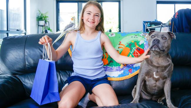 Chloe Millwood has a great appreciation for her much-loved pets Ronnie the cockatiel and Luna the staffy. Her mother Lucy is organising Tasmania's first pet expo in Launceston. Picture: PATRICK GEE