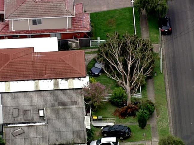 Huge trees were uprooted by the storm in the residential areas of Whalan. Picture: Seven News