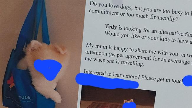 An ambitious dog owner has raised eyebrows with a creative ad proposal that would allow them ongoing free dog sitting.