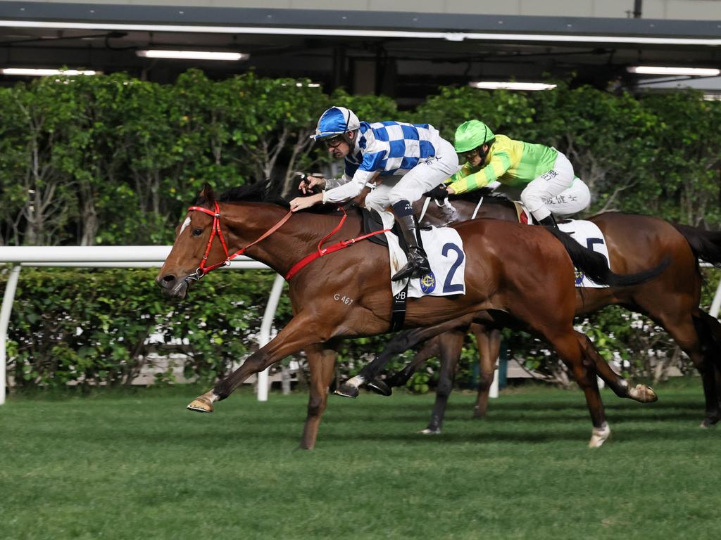 Nordic Dragon is searching for his first Sha Tin success. Picture: HKJC