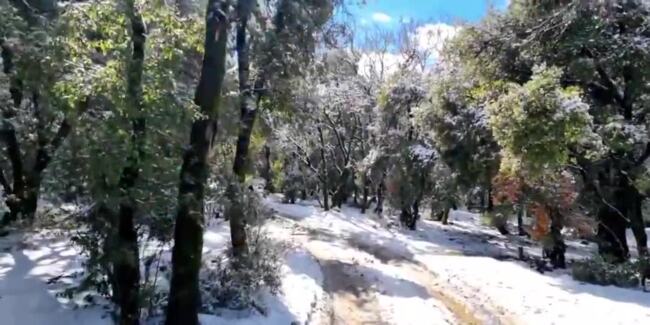 Snow Covers Ground in Golan Heights as First Winter Snow Hits Israel