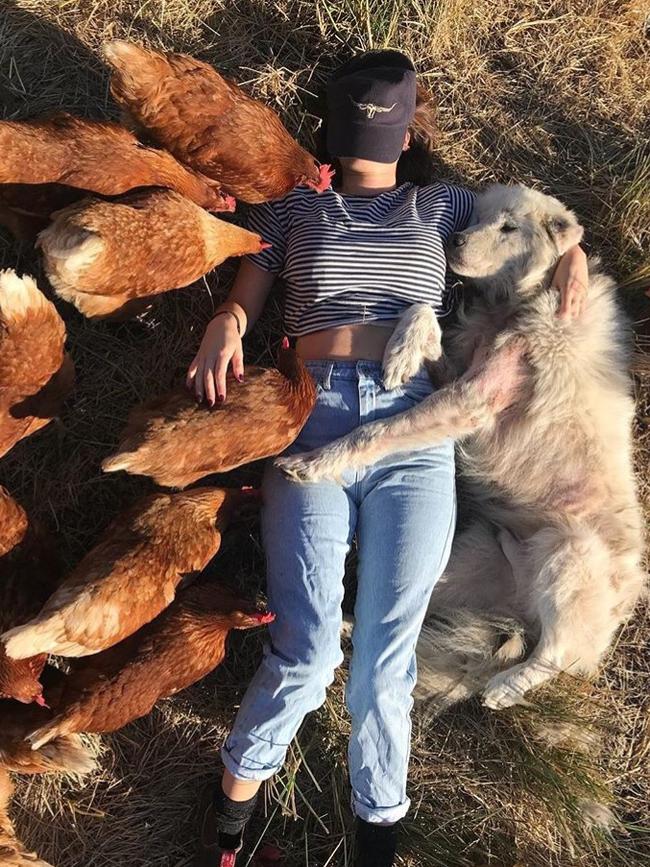 Day of Dogs 2018. Chucky chills out with owner Kimberley Burridge after a hard day on the farm at Chooks at the Rooke in Cororooke, Victoria. Picture: Supplied