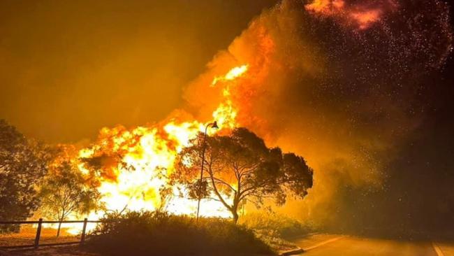 Flames of a bushfire burning north of the city of Perth. Picture: AFP