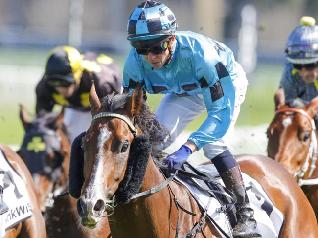 SYDNEY, AUSTRALIA - OCTOBER 01: Kerrin McEvoy on Williamsburg wins race 5 the Drinkwise Dulcify Stakes during Sydney Racing at Royal Randwick Racecourse on October 01, 2022 in Sydney, Australia. (Photo by Jenny Evans/Getty Images)