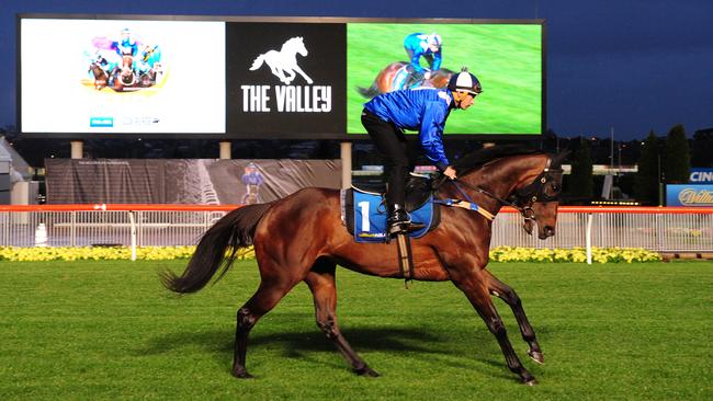 Winx works out at Moonee Valley during this morning’s Breakfast with the Best event ahead of the Cox Plate. Picture: Getty Images