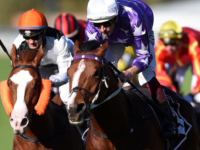 Jockey Hugh Bowman rides Cellarman to win race 7, Wintergreen Stakes during the Tattersal's Race Day at Eagle Farm racecourse in Brisbane, Saturday, June 25, 2016. (AAP Image/Dan Peled) NO ARCHIVING, EDITORIAL USE ONLY