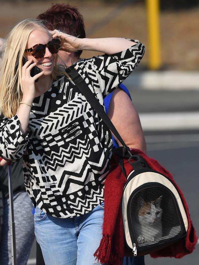 A cat arrive arrives safely at Hastings. Picture: Julian Smith/AAP.