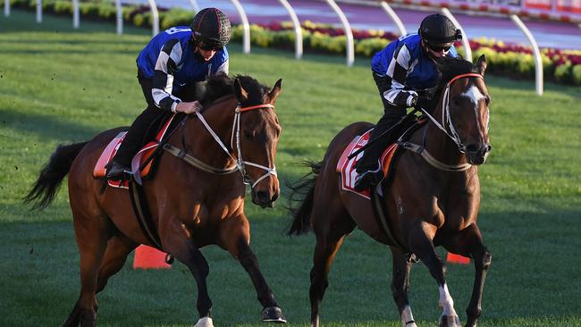 Mugatoo (left) will target the All-Star Mile in the autumn. Picture: Getty Images