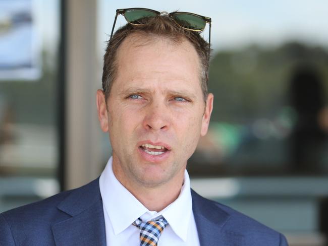Trainer Matthew Dale has Calascent racing in great form. Picture: Grant Guy