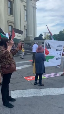 Protesters at council steps