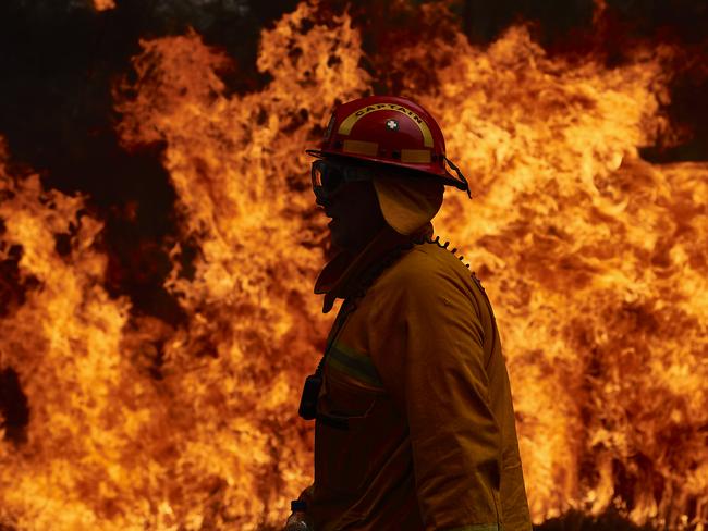 SYDNEY, AUSTRALIA - NOVEMBER 14: A CFA Member works on controlled back burns along Putty Road on November 14, 2019 in Sydney, Australia. Crews are working hard to gain the upper hand after devastating fires tore through areas near Colo Heights. Bushfires from the Gospers Mountain bushfire continue to burn. An estimated million hectares of land has been burned by bushfire following catastrophic fire conditions - the highest possible level of bushfire danger. While conditions have eased, fire crews remain on high alert as dozens of bushfires continue to burn. A state of emergency was declared by NSW Premier Gladys Berejiklian on Monday 11 November and is still in effect, giving emergency powers to Rural Fire Service Commissioner Shane Fitzsimmons and prohibiting fires across the state. (Photo by Brett Hemmings/Getty Images) *** BESTPIX ***