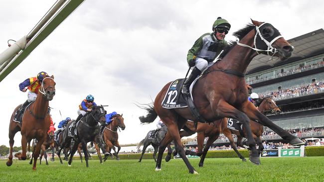 Yes Yes Yes’ value as a future stallion has skyrocketed after his win in The Everest. Picture: AAP