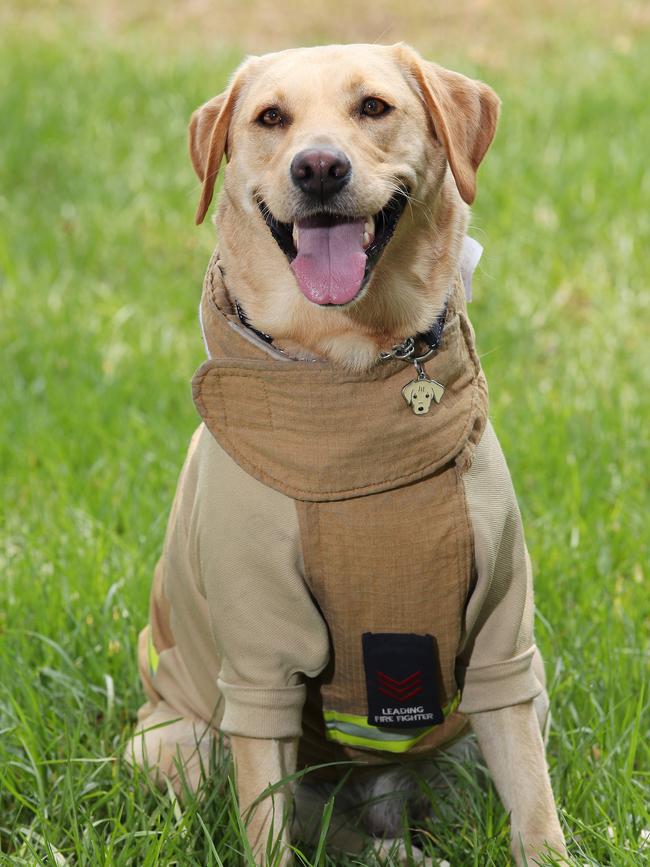 In uniform and ready to go. Picture: David Swift