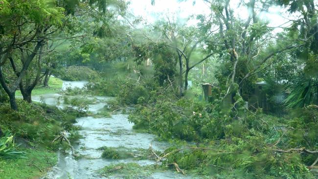 Trees razed at Airlie Beach, which copped the brunt of the cyclone. Photographer: Liam Kidston