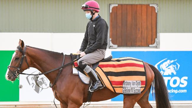 Anthony Van Dyck at Werribee Racecourse on October 28, is the third horse sharing favouritism in Cup markets. Picture: Reg Ryan/Racing Photos via Getty Images