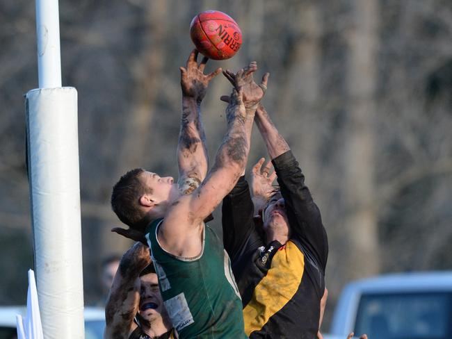 Greensborough’s Tynan Smith takes a strong mark. Picture: Chris Eastman/AAP