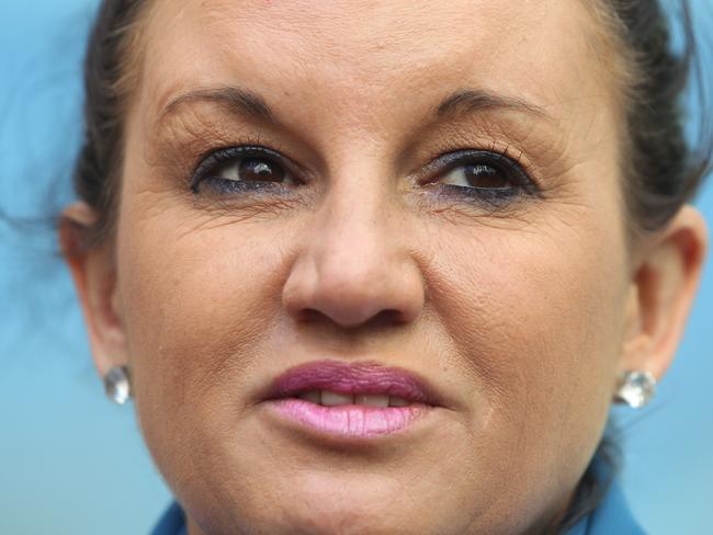 Senator Jacqui lambie with Andrew Wilkie during a joint press conference in Parliament House in Canberra. Pic by Gary Ramage